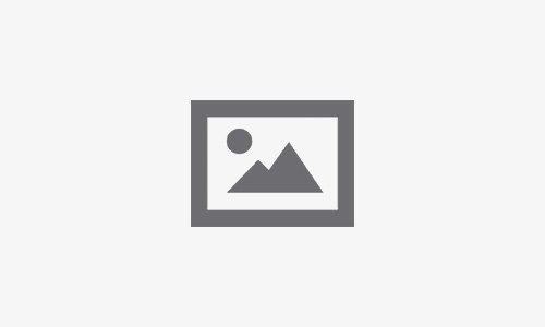 【オーストラリア留学】オーストラリアのインスペクター事情と愚痴