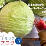 オーストラリアの八百屋で感じる大きさと安さ！青果市場の魅力を徹底解説