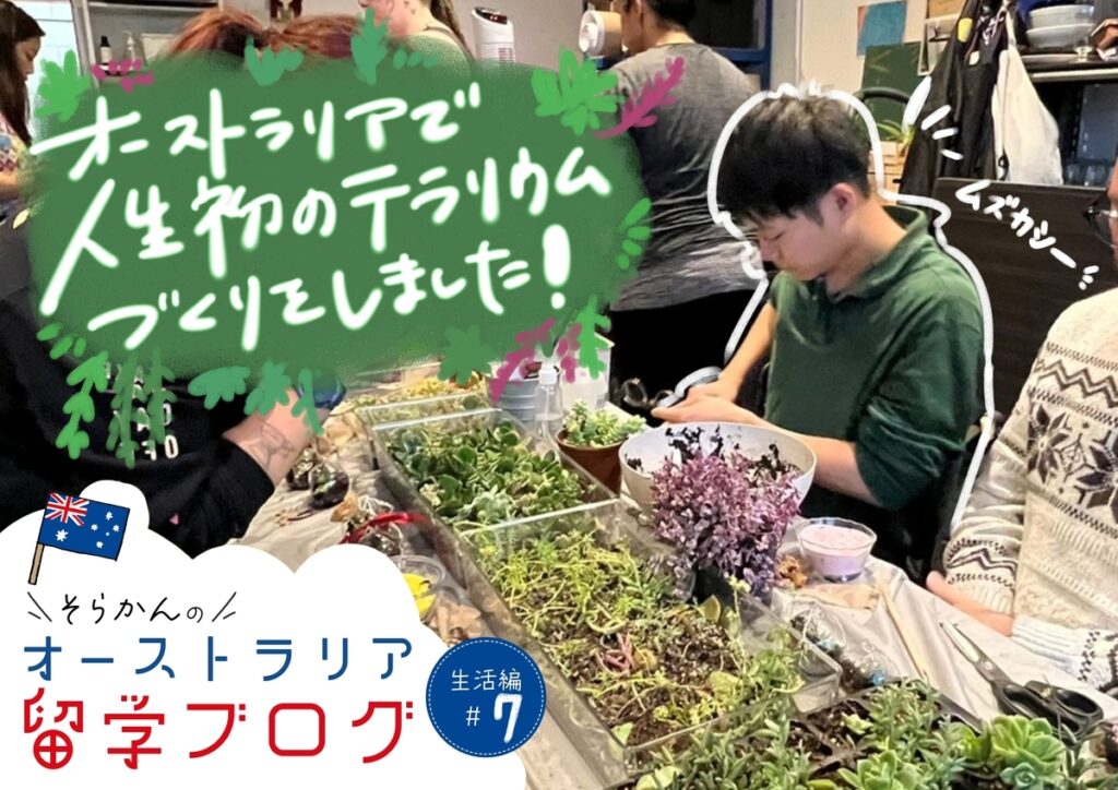 【初めてのテラリウム体験】メルボルンの体験型クラスに参加してみた感想🌿