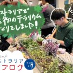 【初めてのテラリウム体験】メルボルンの体験型クラスに参加してみた感想🌿